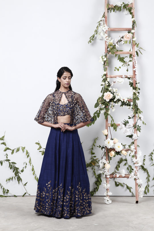 Navy Blue Lehenga With Floral Jaal Blouse